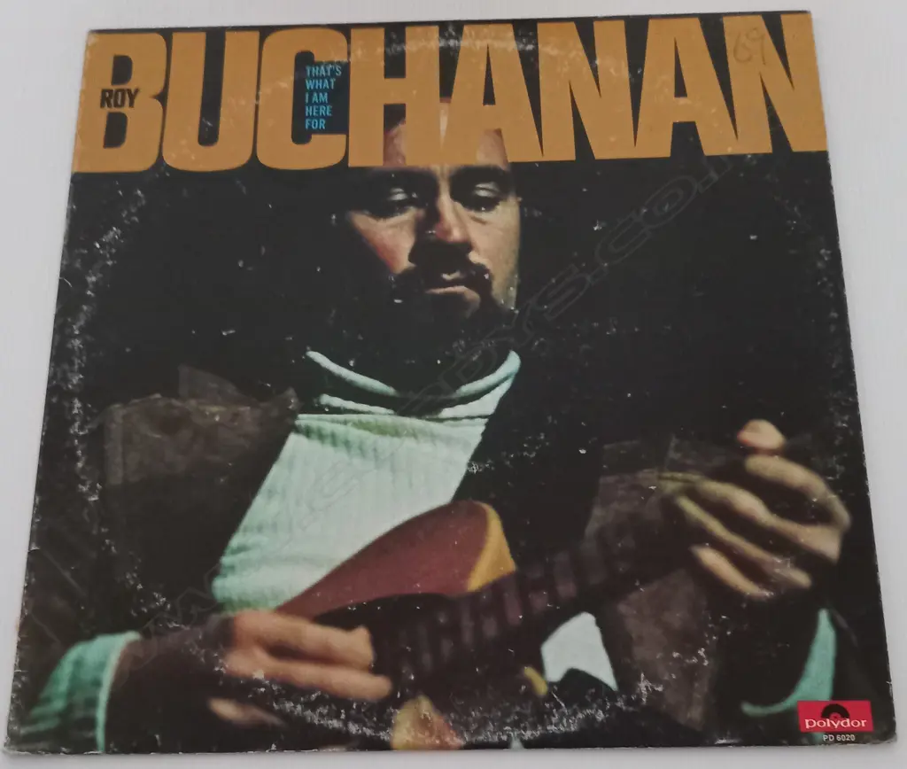 Roy Buchanan, That's What I Am Here For Image 1++